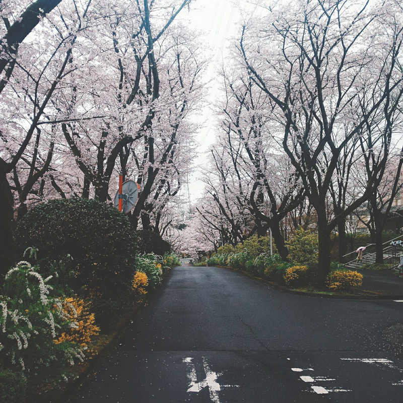 鍥剧墖200.png 鍥剧墖200.png