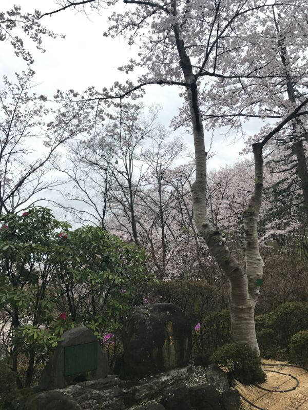 鍥剧墖700.png 鍥剧墖700.png