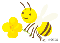 图片66.png 图片66.png