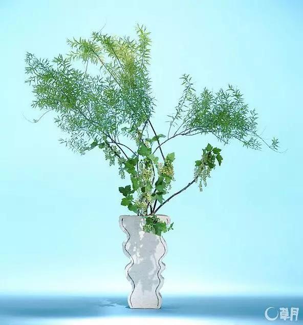 微信图片_20181128173756.jpg 微信图片_20181128173756.jpg