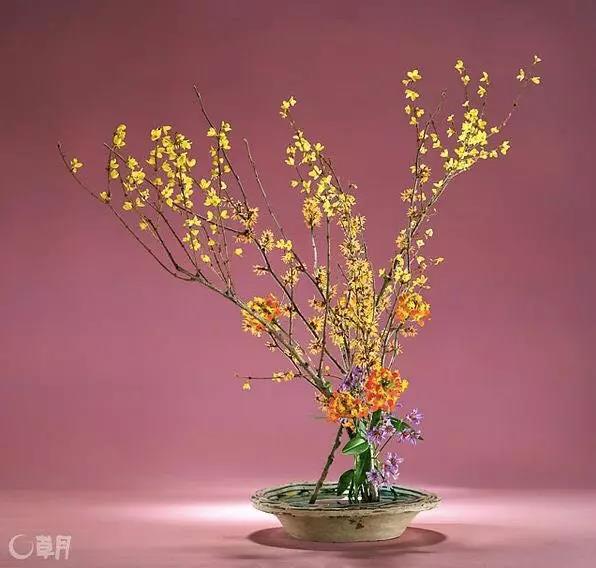 微信图片_20181128173805.jpg 微信图片_20181128173805.jpg