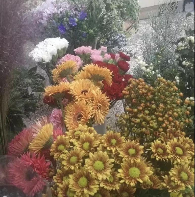 微信图片_20181128173828.jpg 微信图片_20181128173828.jpg