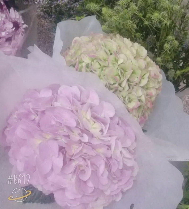 微信图片_20181128173840.jpg 微信图片_20181128173840.jpg