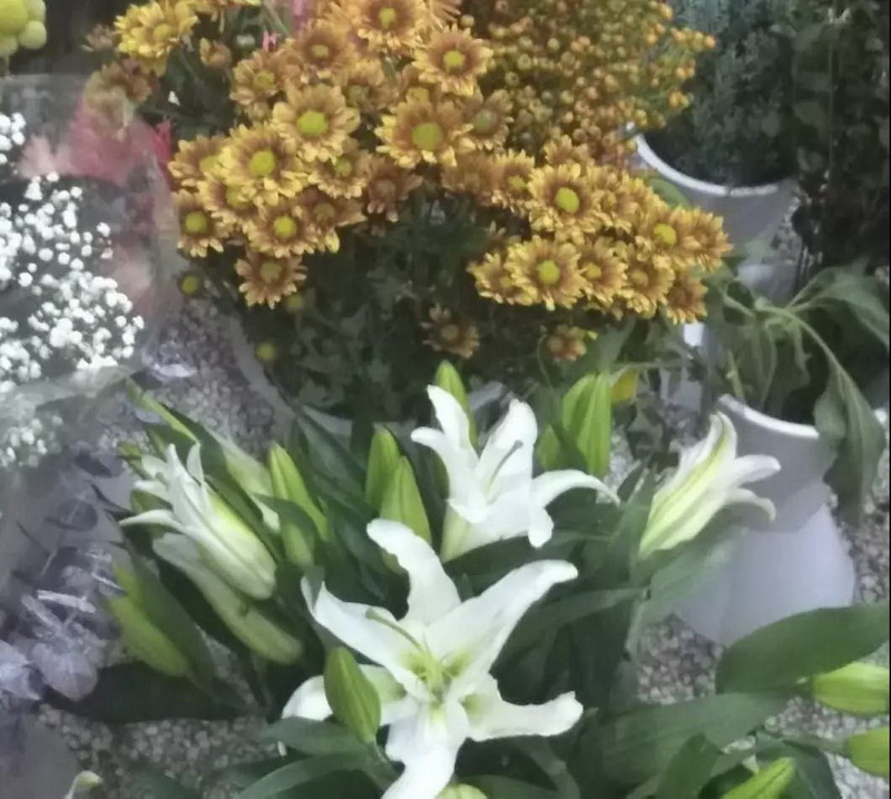 微信图片_20181128173848.jpg 微信图片_20181128173848.jpg