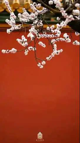 图片4.png 图片4.png