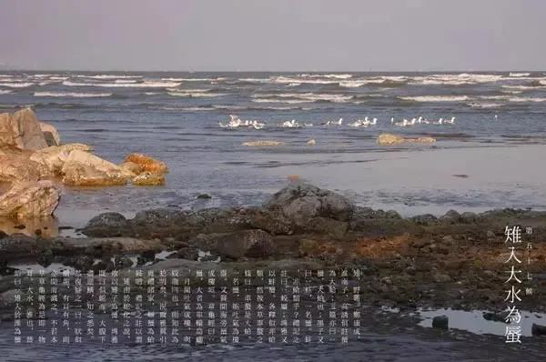 图片7.png 图片7.png