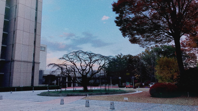 校园3.jpg 校园3.jpg