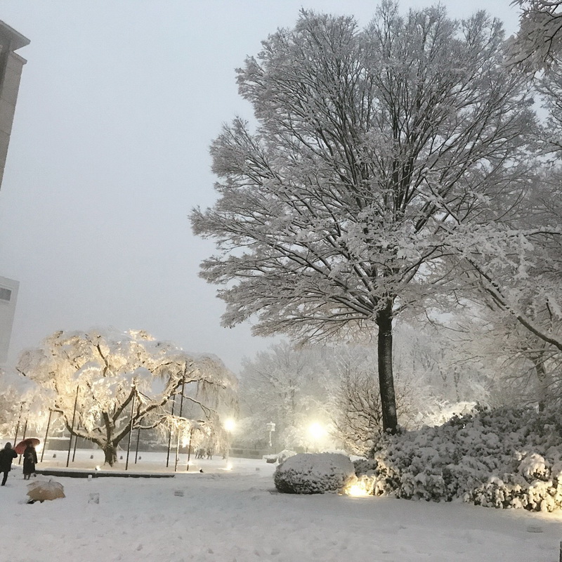 校园5.jpg 校园5.jpg