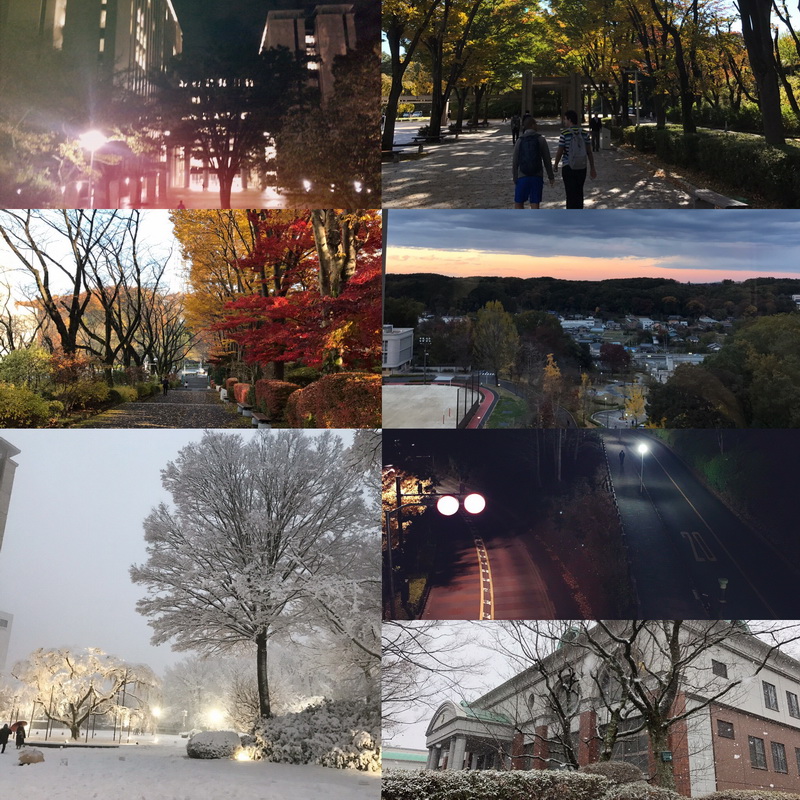 学校环境.jpg 学校环境.jpg